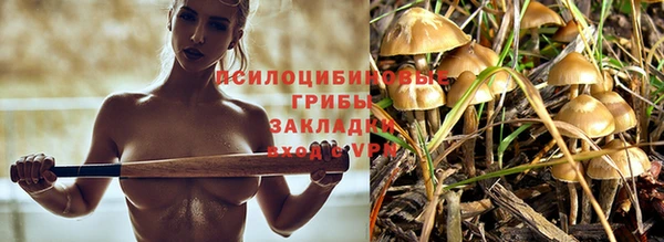 прущая мука Алзамай