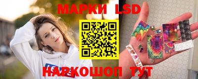 дмт Краснодар