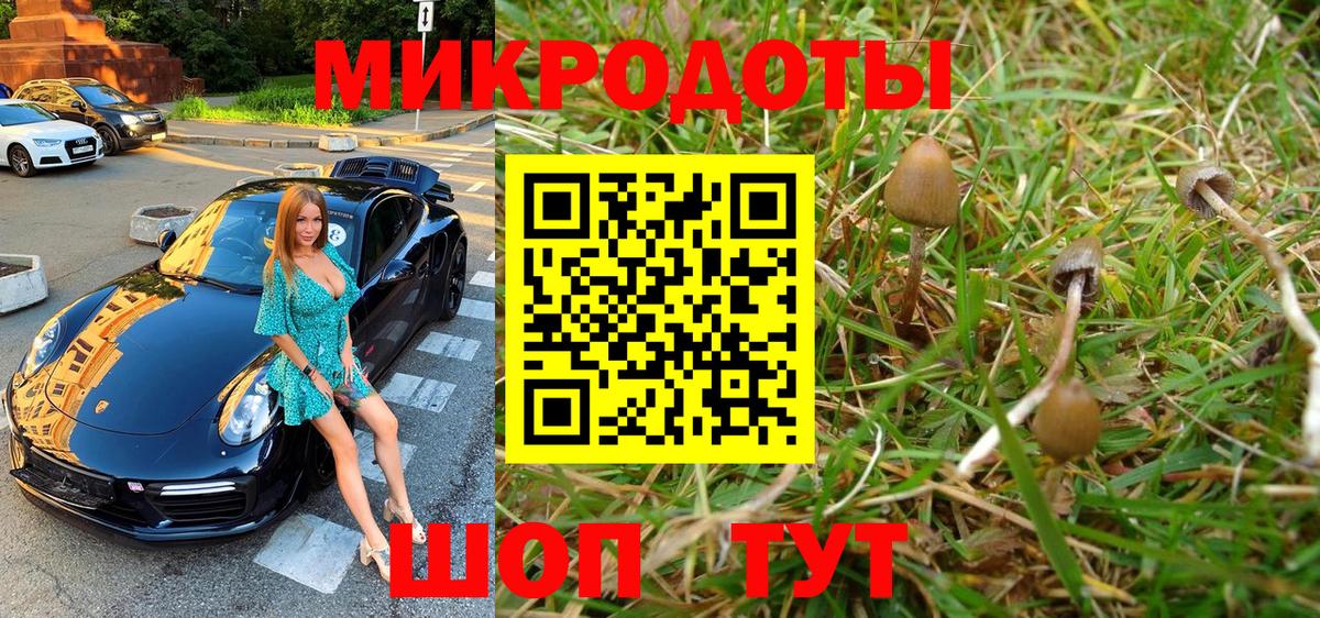 Людиново  Галлюциногенные грибы мицелий  купить наркоту  Вход с VPN  Галлюциногенные грибы Psilocybine cubensis 